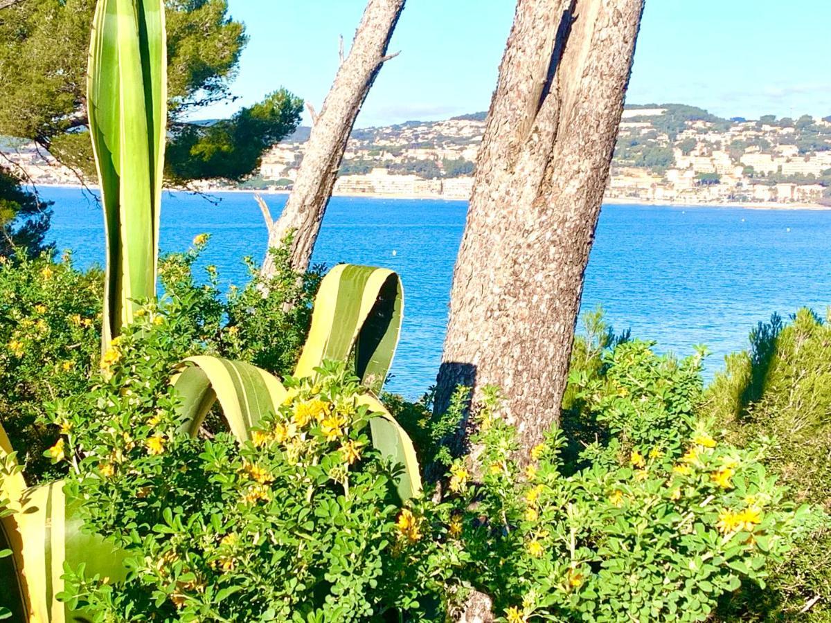 NOUVEAU écume&clapotis Sanary-sur-Mer Exterior foto